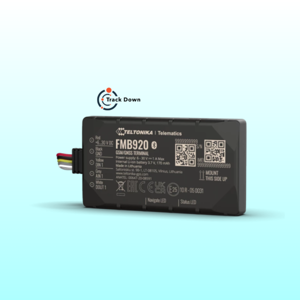 GPS DEVICE FMB920