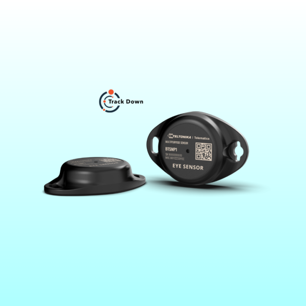 Teltonika EYE Sensor – Bluetooth®